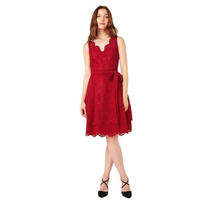 Phase Eight Milly Lace dress